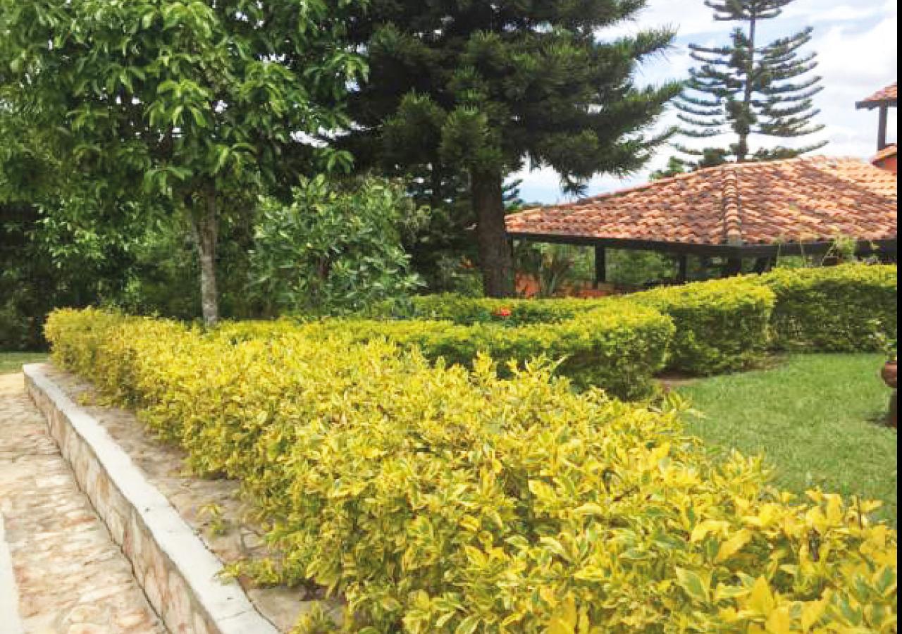 Hotel Cristo Rey Campestre Los Santos  Exteriör bild